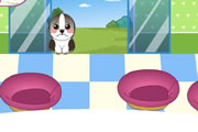 Doggy Shelter game