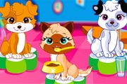 Happy Pets game