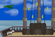 Pirate Zebra game