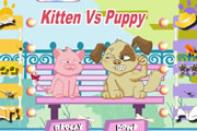 Kitten Vs Puppy