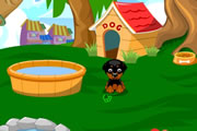 My Sweet Dog game