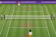 Tennis Champions game